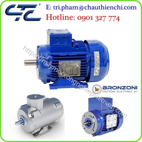 Motor điện Bronzoni Electric Motors made in Italy đại lý Vietnam